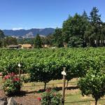 Reustle-Prayer Rock Vineyards