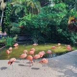 Sunken Gardens