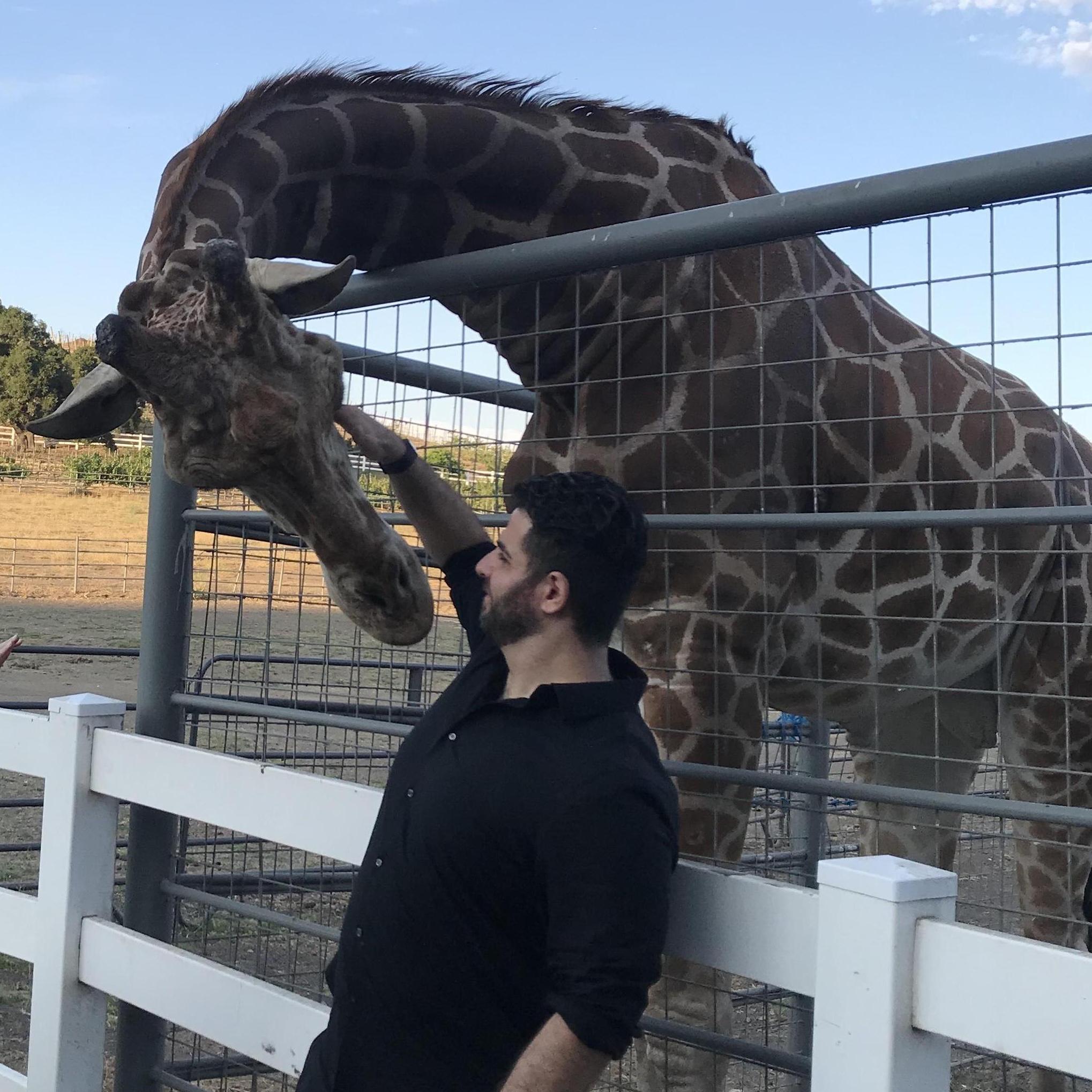 #TalasFavs