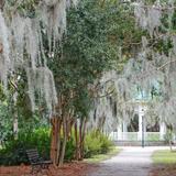 Hampton Park