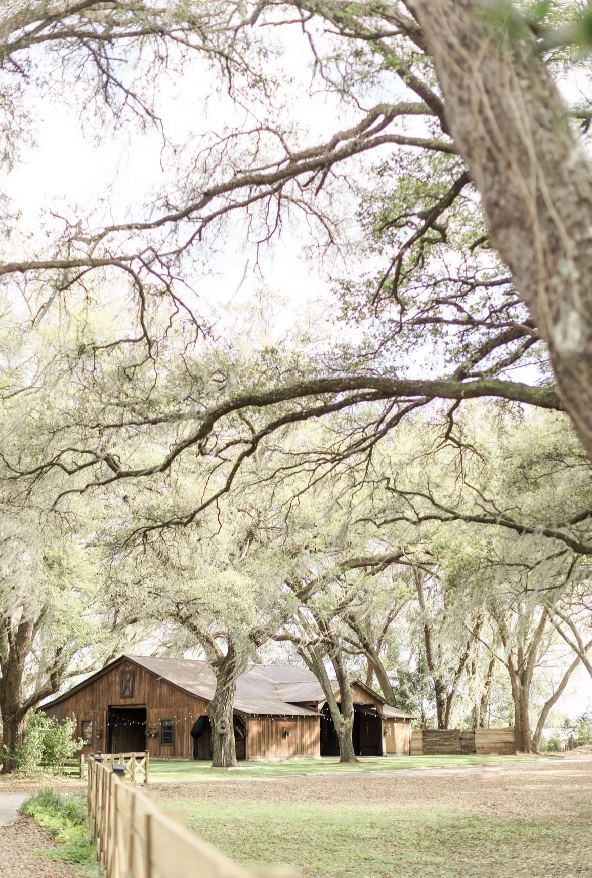 The Wedding Website of McKenzie Chetock and Anthony Ventresca