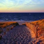 Beaches