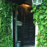Tiny Boxwoods