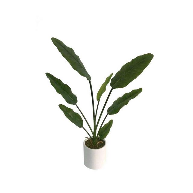 2.2' Artificial Banana Tree in Pot Green/White - Project 62™