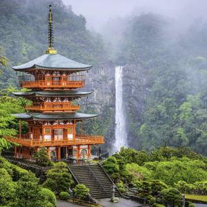 Help fund our honeymoon trip to Japan