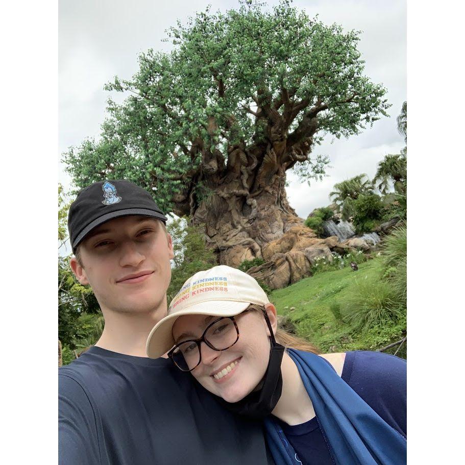The Tree of Life