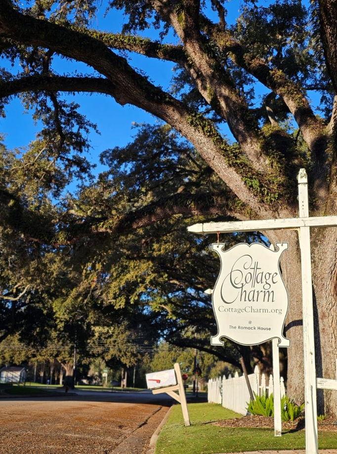 The Wedding Website of Jared Barrera and Zoe Tidwell