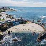 La Jolla Cove Beach and Sea Lions