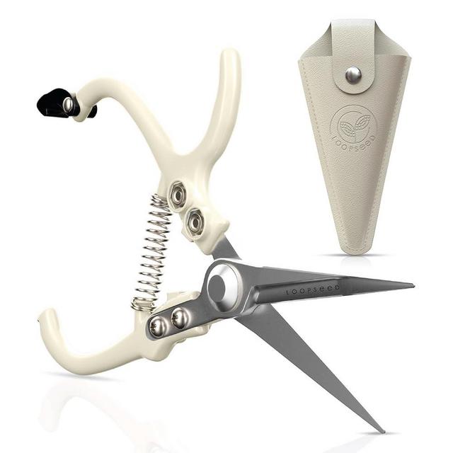 LOOPSEED Plant Pruning Shears with Vegan Leather Sheath Garden Trimming Scissors with Belt Holster Bonsai Trimmers Herb Snips Flower Clippers Modern Tools 2 Piece Bundle (Cream Pruner Beige Sheath)