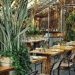 Terrain Cafe