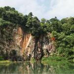 Bukit Timah Nature Reserve, BTNR Hindhede