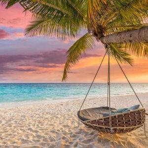 Honeymoon Fund