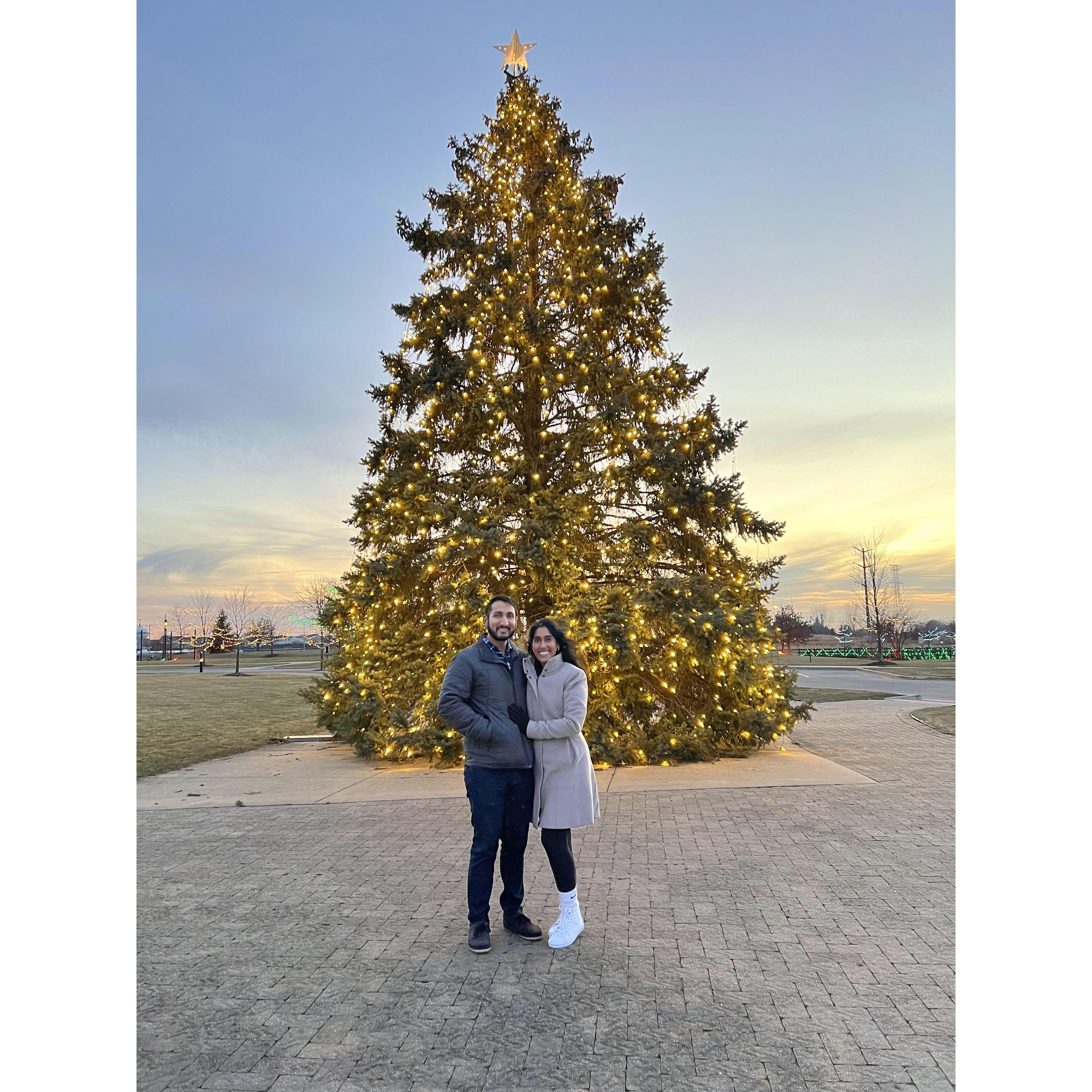 Shorewood, IL Christmas Tree