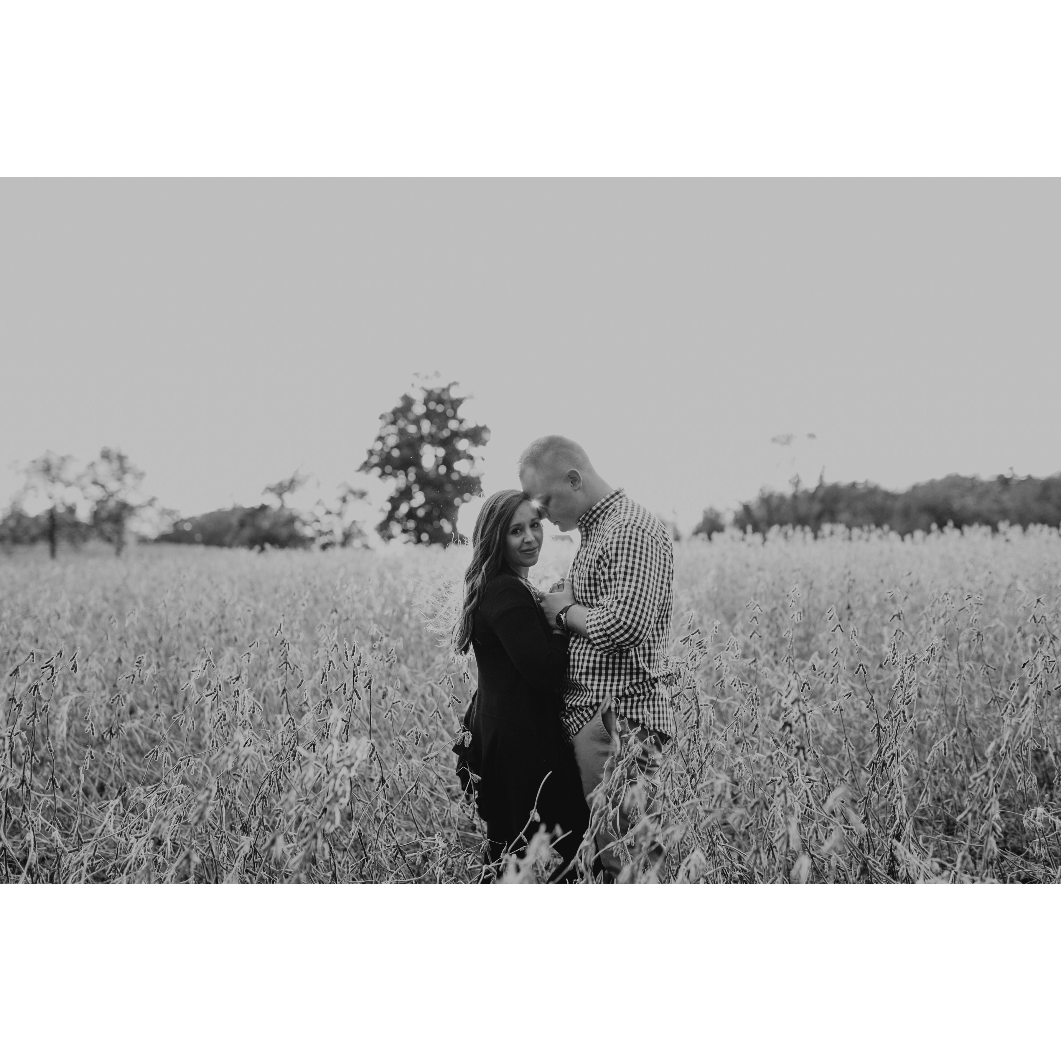 Engagement Photos at Codorus