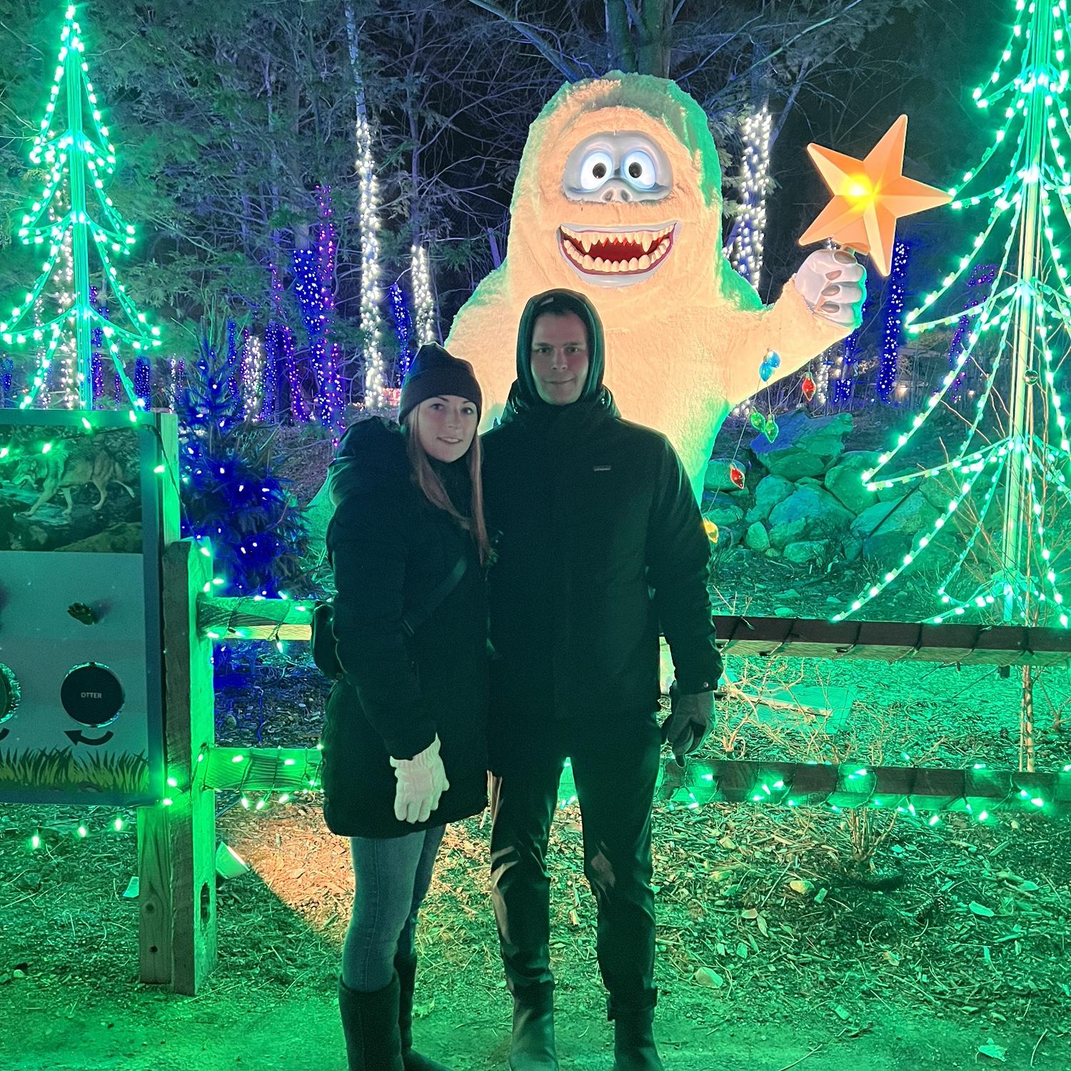 Stone zoo Lights 2023