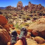 Joshua Tree National Park