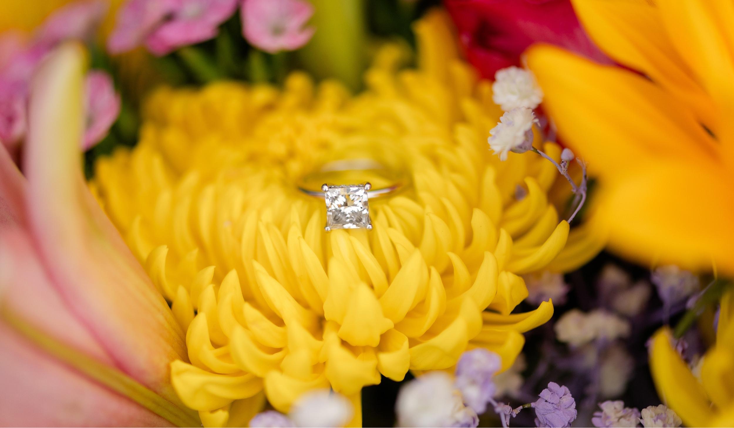 The Wedding Website of Becky Howell and Ryan Coffield