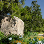 Santa Barbara Botanic Garden