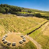 Holmfirth & Holmfirth Vineyard
