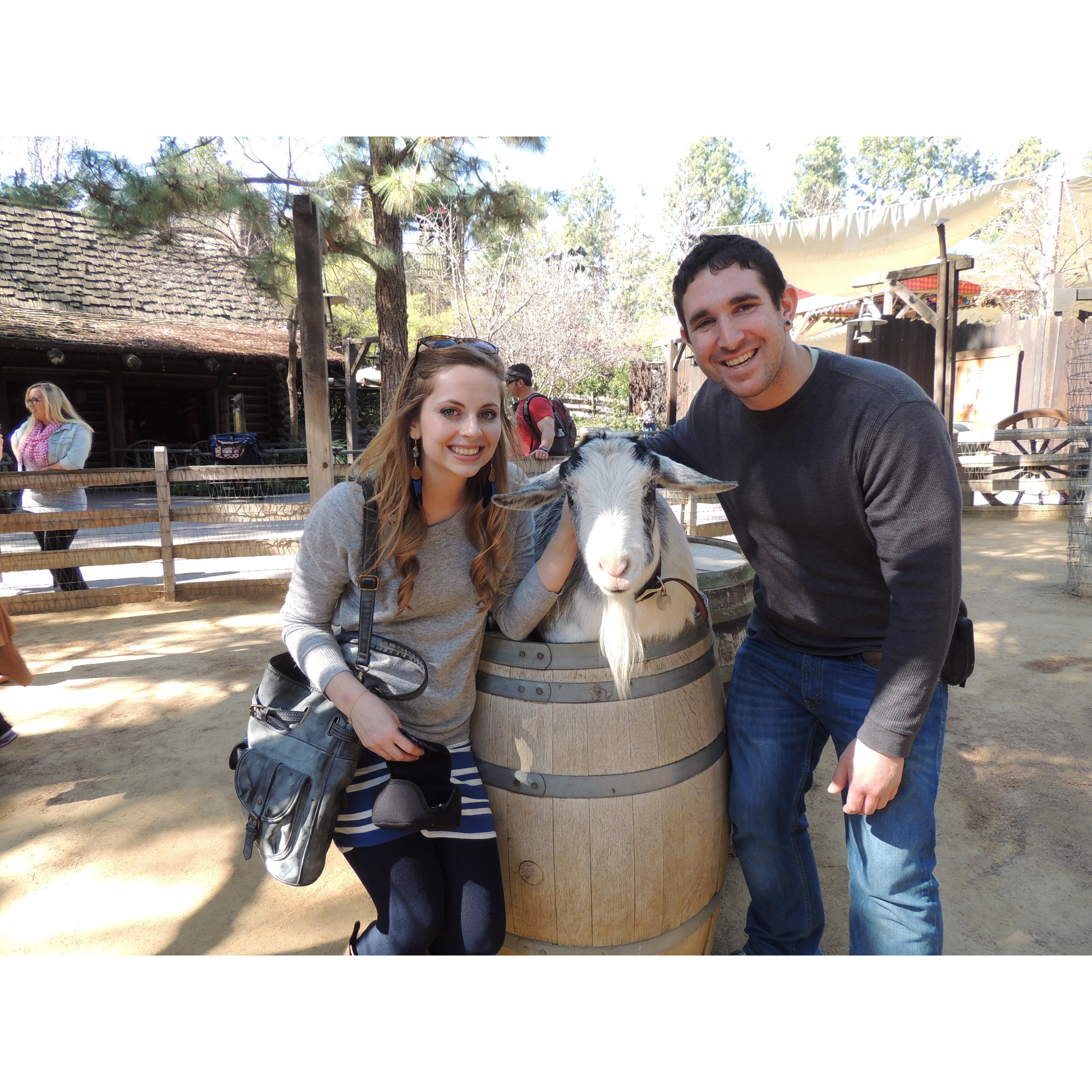 Met this goat at Disneyland in 2013.