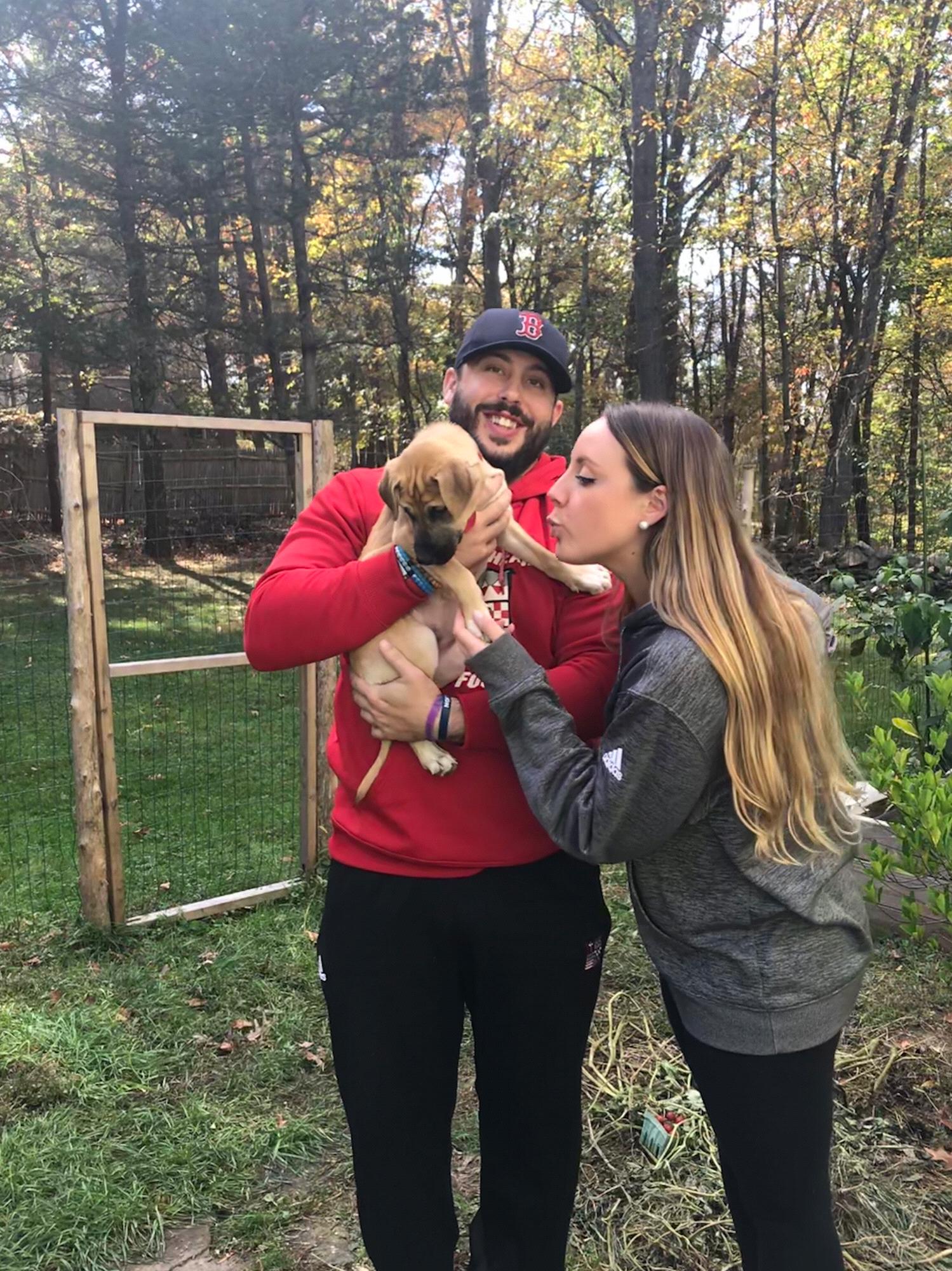 Our first day with Jules