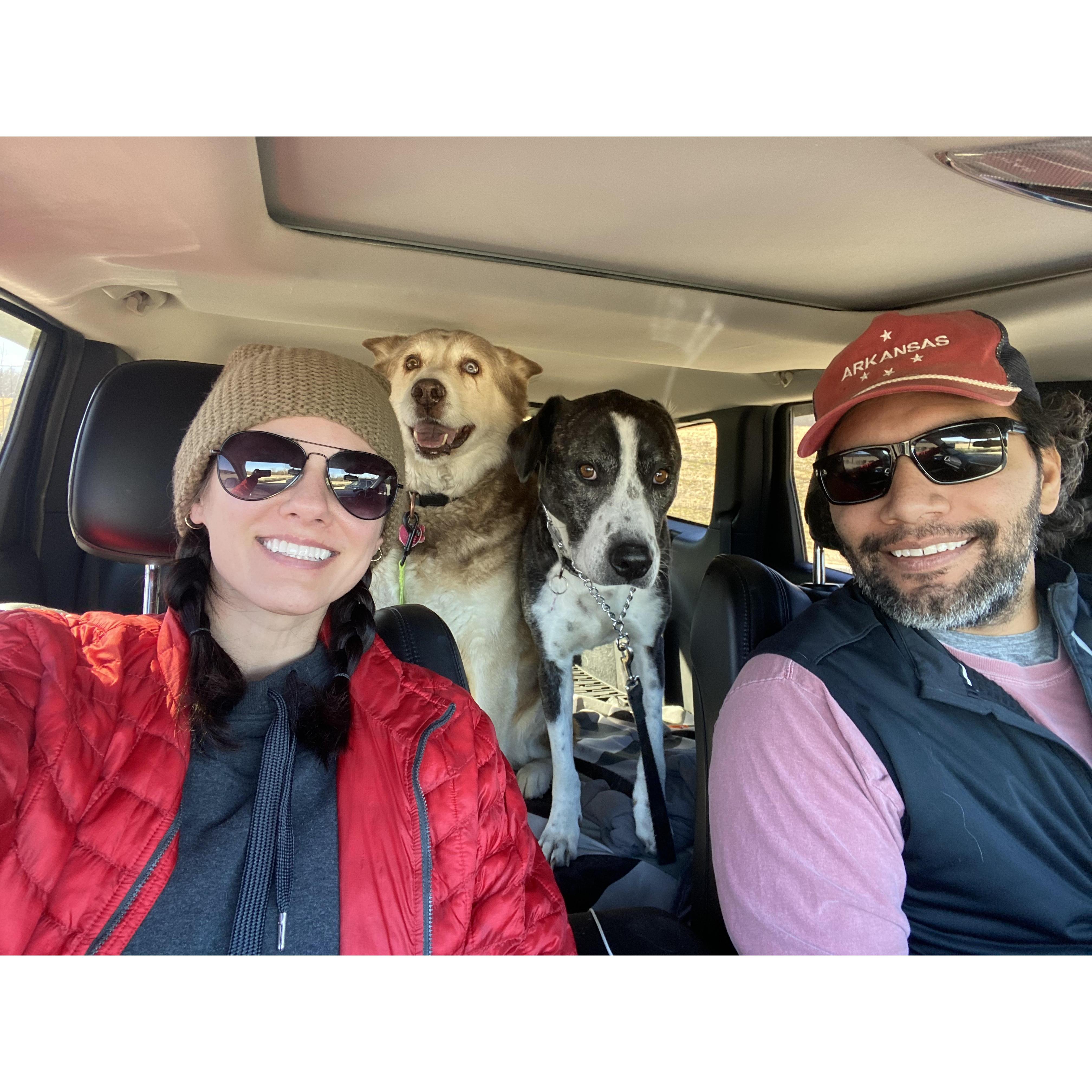 Taking the dogs on a hike!
