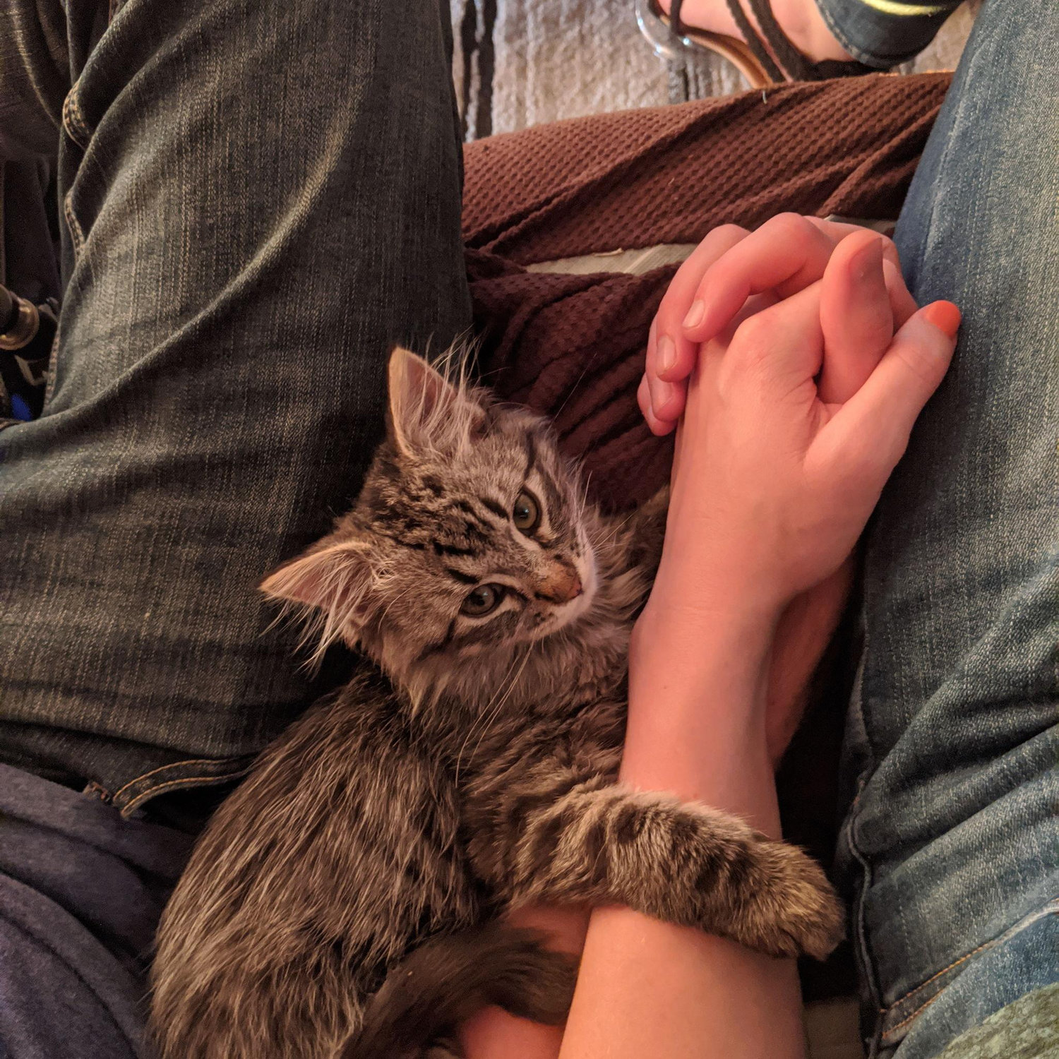 When we got Rye (aka Small Boy)