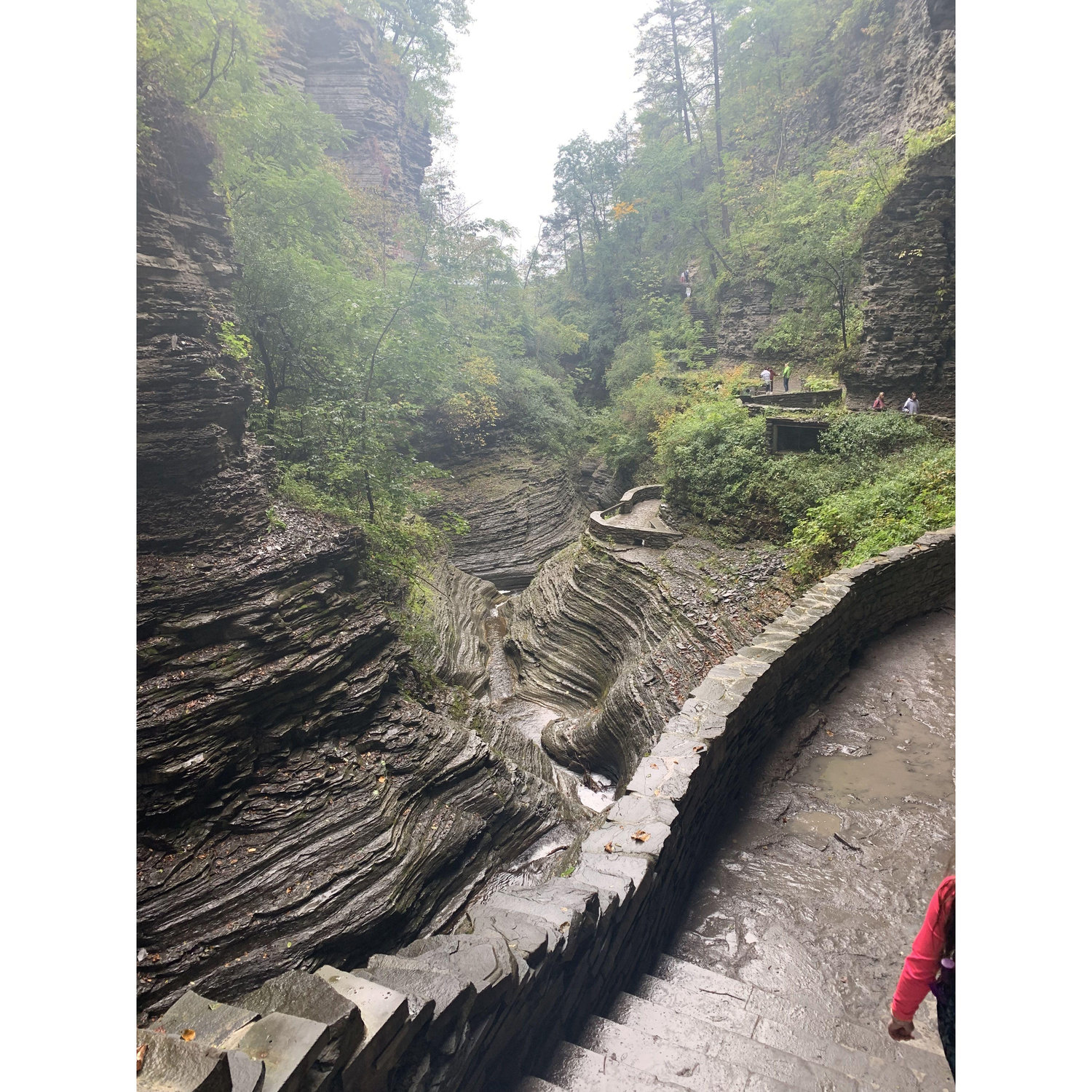 Along the trail in upstate New York