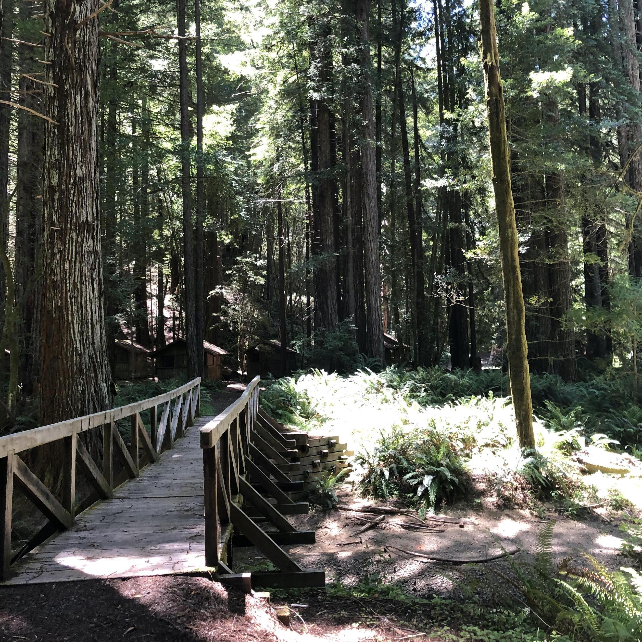 Visit your new camp buds at different pods via a series of small bridges that connect Camp Devine together.