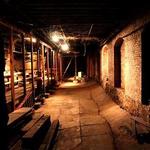 Bill Speidel's Underground Tour