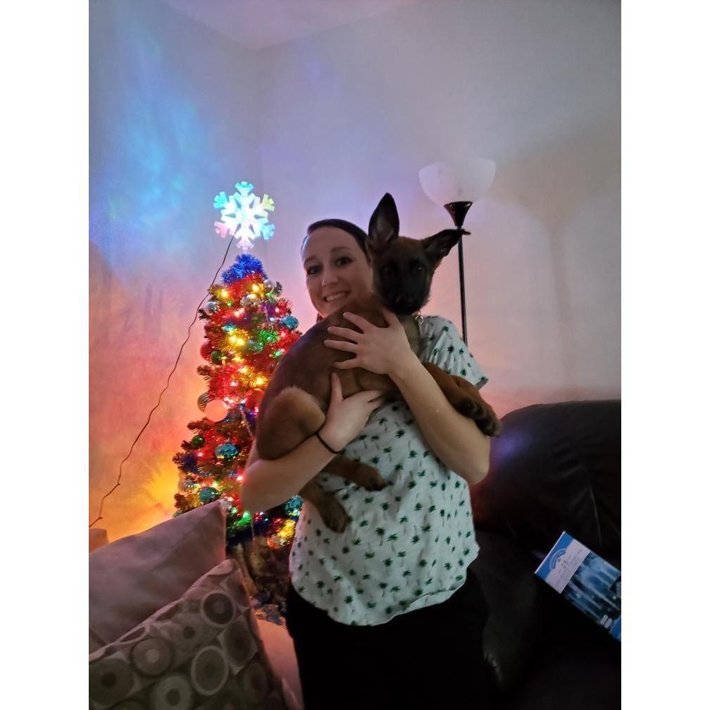 Our 1st Christmas in our own place with our new pup, Freya