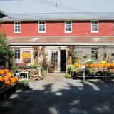Highland Orchards, Inc.