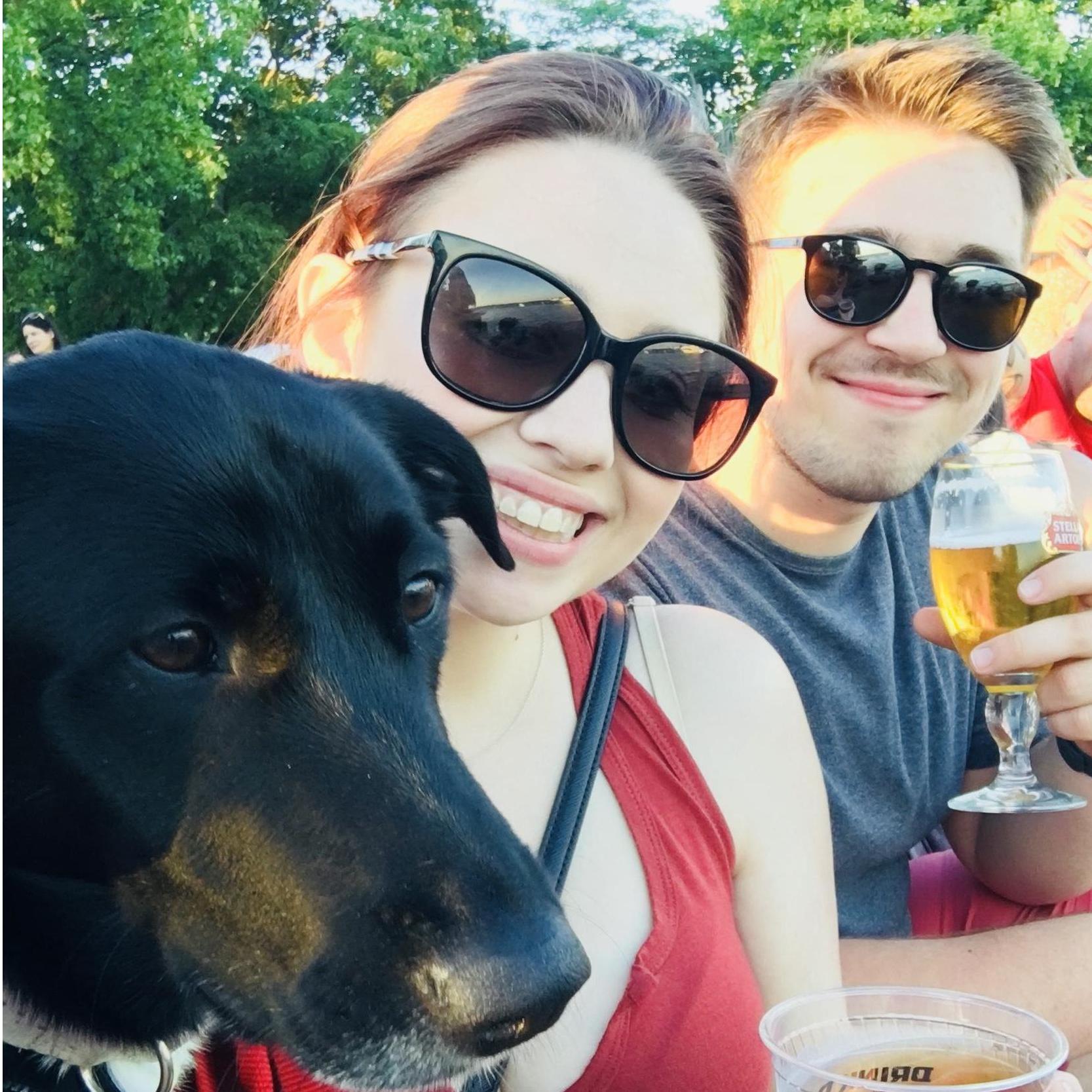 wine tasting festival