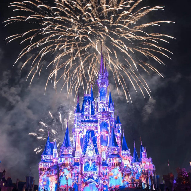 Disney World Premium Passes for Honeymoon