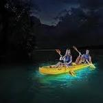 Kayak a bioluminescent bay!