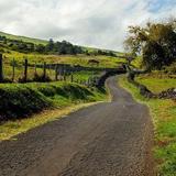 Thompson Road
