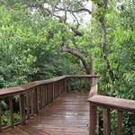 Gumbo Limbo Nature Center