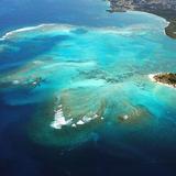 Buccoo Reef Trust
