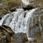 Hike Wintergreen