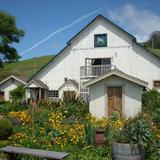 Harley Farms Goat Dairy Farm