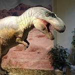 Kalamazoo Valley Museum