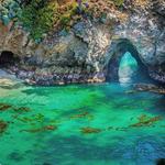 Point Lobos State Natural Reserve