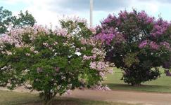 South Peach Park