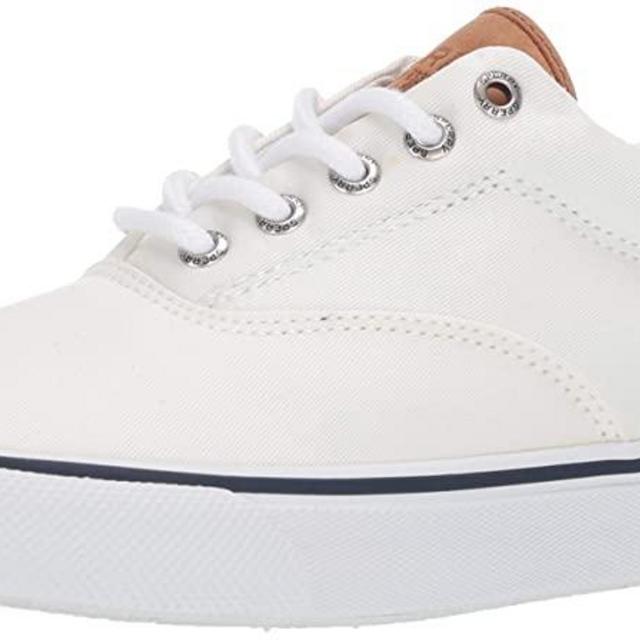 Sperry Men's STRIPER II CVO Core Sneaker