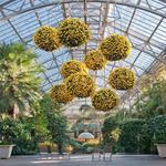 Longwood Gardens