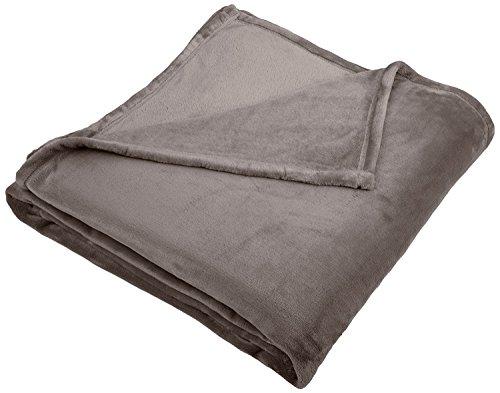 Pinzon Velvet Plush Throw Blanket, 50" x 60", Gray