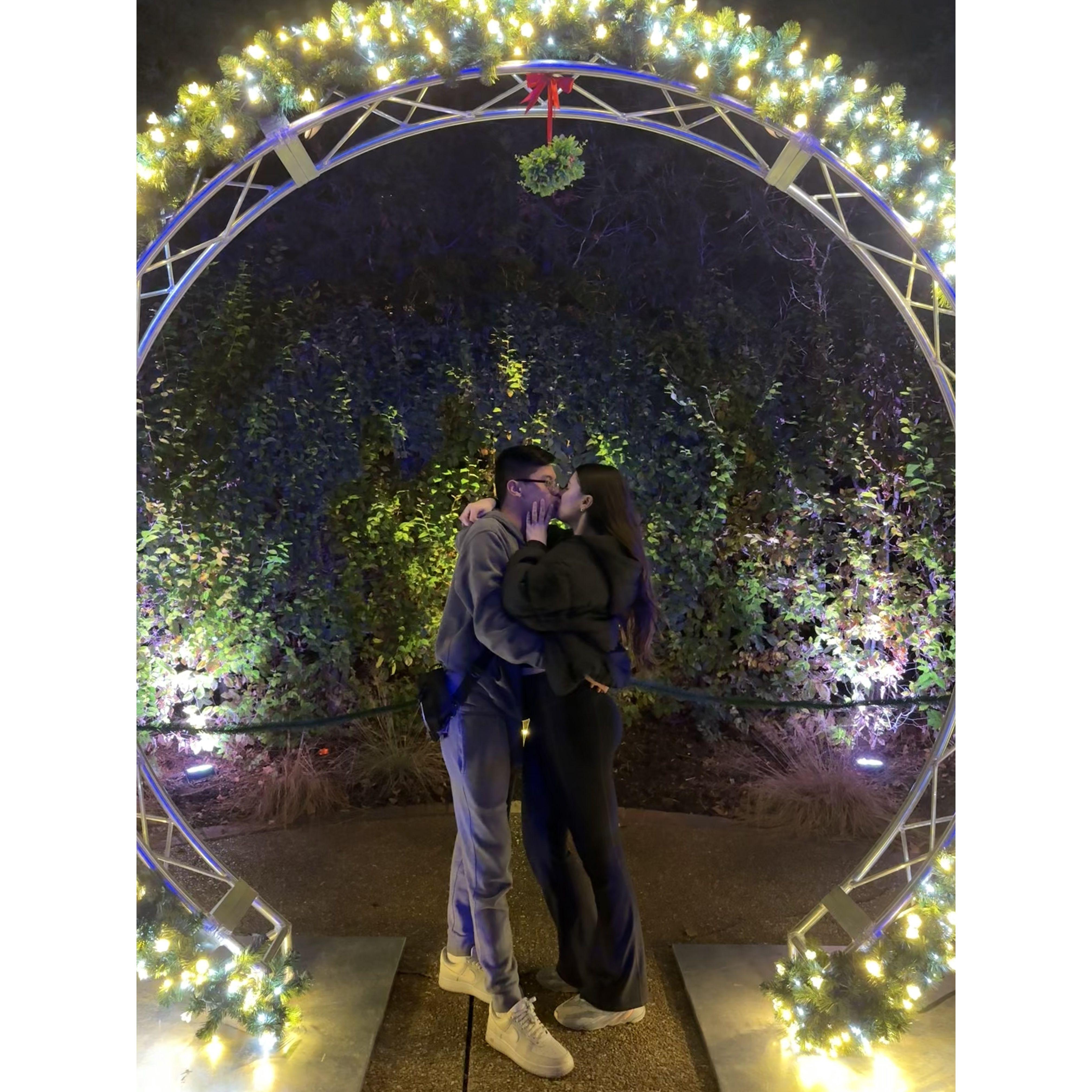 Christmas at the Zoo (2024)