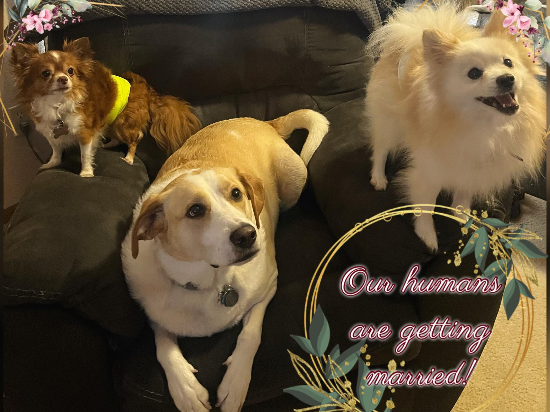 The Wedding Website of Hallie Rogers and Mark Mannon