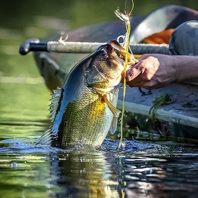 Fishing Fund