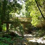 Lion's Den Gorge Nature Preserve